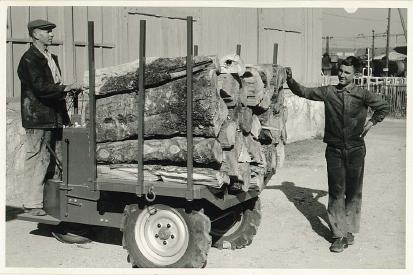 ETC%20Consult%20Guinée